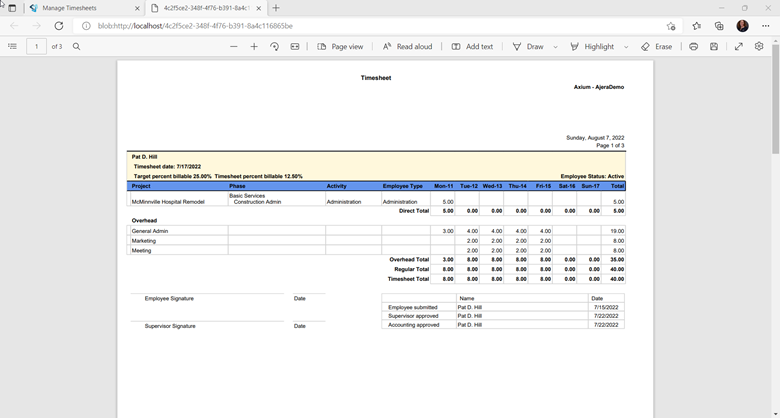 browser based timesheet deltek ajera